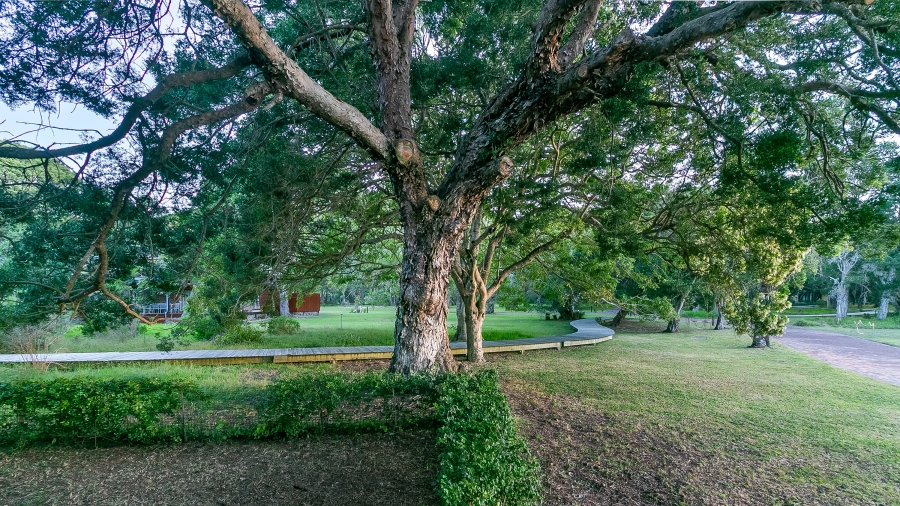 5 Bedroom Property for Sale in Brenton On Lake Western Cape